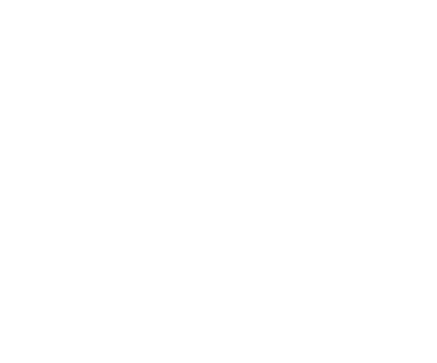 Emergencia